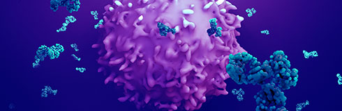 新冠病毒蛋白和抗体表达